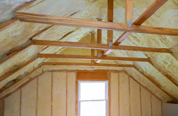 Best Eco-Friendly Insulation in Lanham, MD