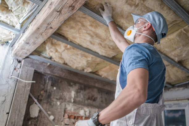 Best Cellulose Insulation in Lanham, MD