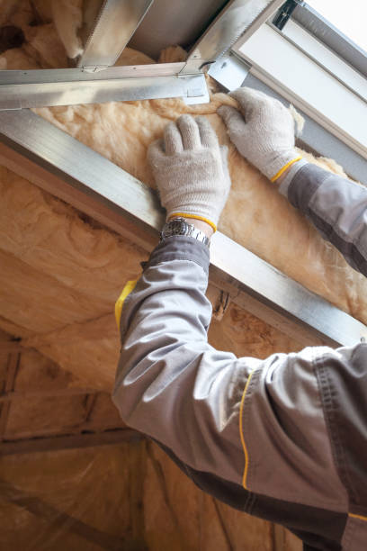 Best Insulation Maintenance and Repair in Lanham, MD