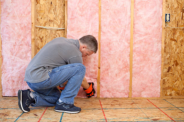 Best DIY Insulation Kits and Guidance in Lanham, MD